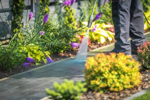 Best House Exterior Washing  in Briarcliff Manor, NY